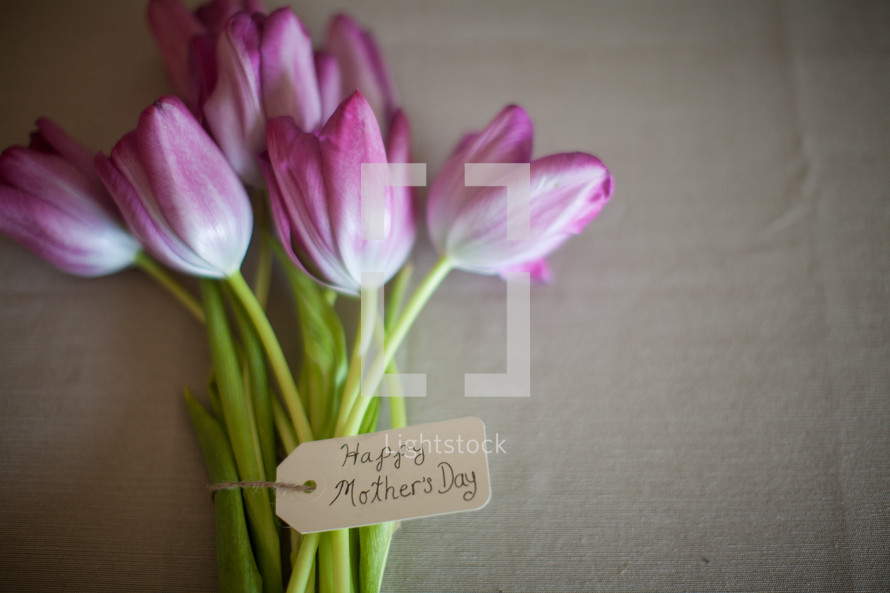 tulips for Mothers day 