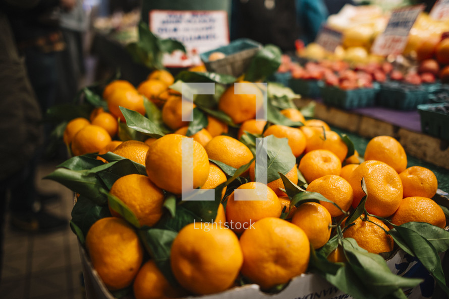 oranges in the market 