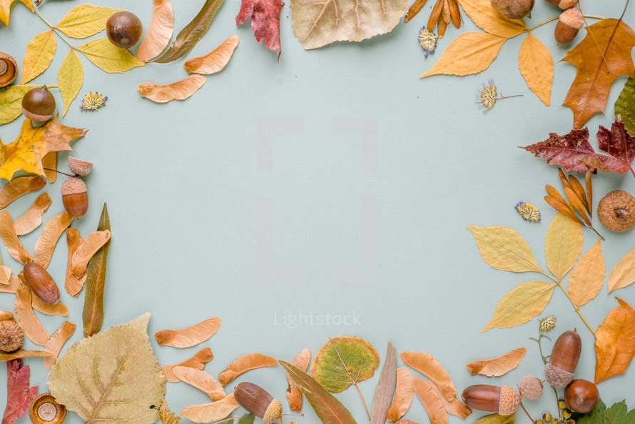 fall leaves frame 