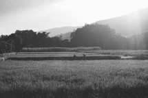 children walking through a field of tall grass 