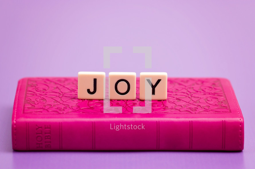 word Joy on a pink Bible 