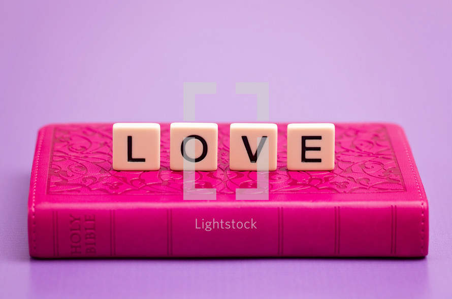 LOVE on a pink Bible 