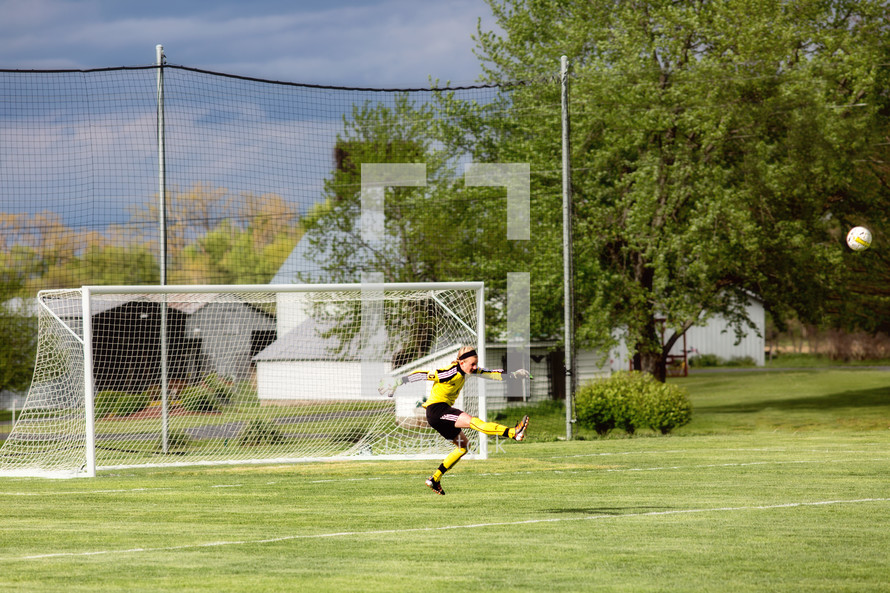 soccer goalie in a net