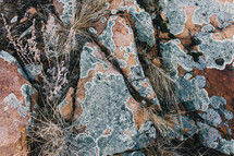 red and gray splotchy rocks 