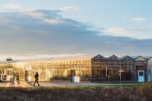 greenhouses at a plant nursery 