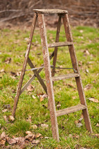 old ladder in the grass