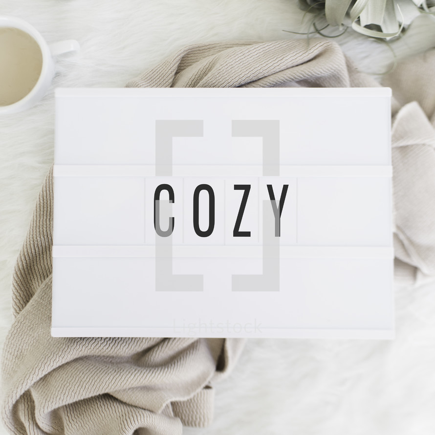 word Cozy on a sign and coffee mug, blanket, and house plant 