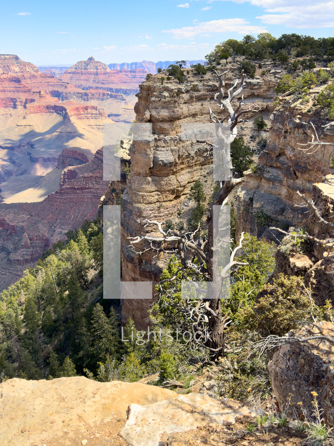 The Grand Canyon on a sunny day.