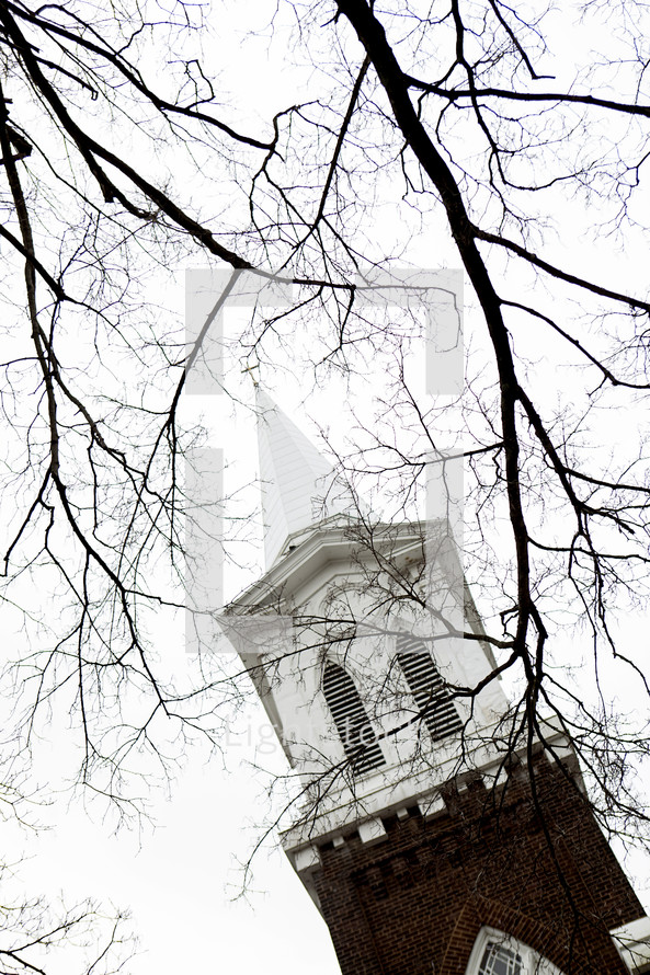  church steeple through branches 