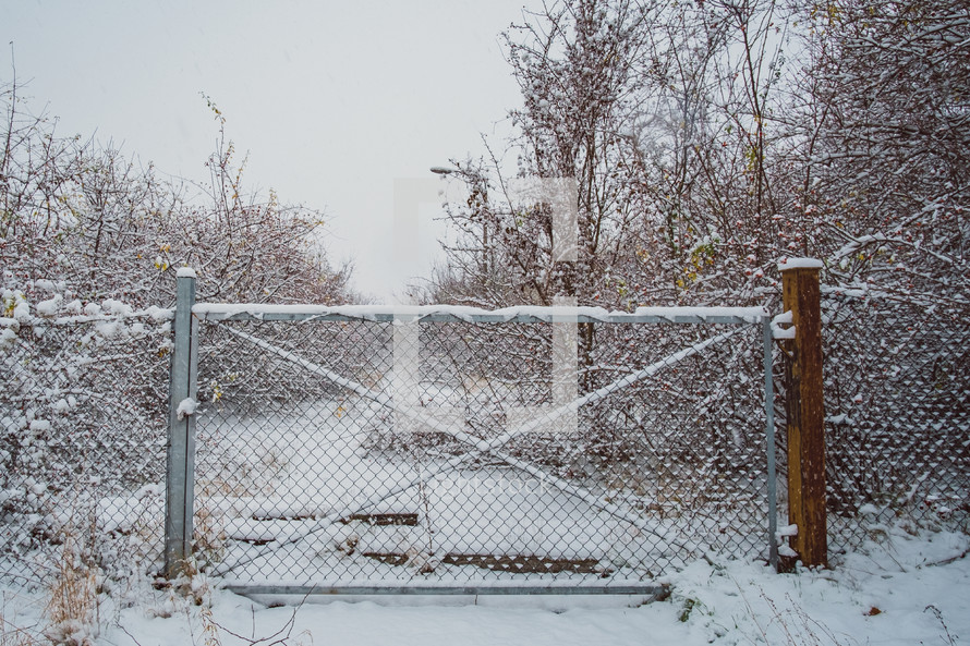 fence with snow 