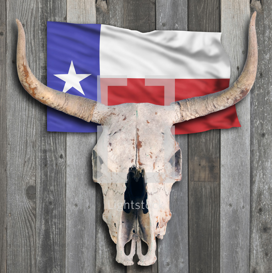 Texas cow skull on old wooden background.