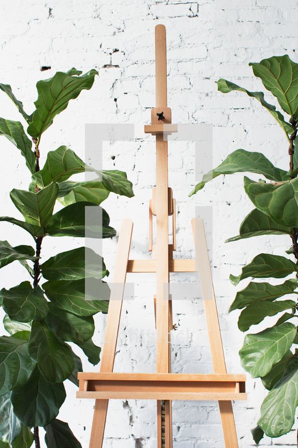 empty easel and house plants 