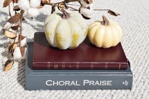 Hymnal, Bible, pumpkins, and cotton sprays on a gray knit blanket 