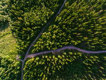 aerial view over a pine forest and roads 