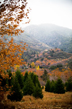 fall mountainside 