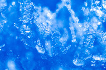 Close up of snow crystals illuminated by blue sunlight. Winter background. Macro of real snowflake: large stellar dendrites with hexagonal symmetry, long elegant arms and thin, transparent structures.