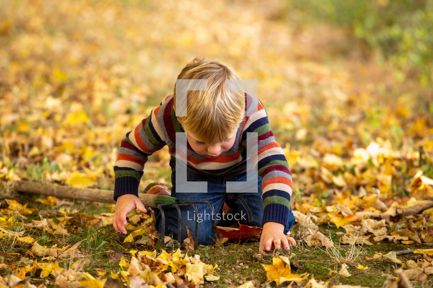 toddler boy playing in the grass 