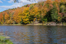 Fall trees near the water