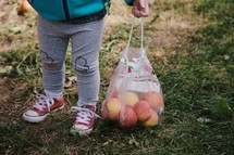 legs of a toddler girl carrying a bag of apples 