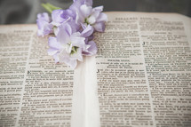 Bible on gray blanket with purple and white flowers