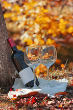 Wine glasses and wine resting against a fall tree