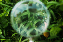 magnifying glass over wet grass 