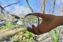 A Glass Round Lens ball and Snowdrops against old leaves in spring time