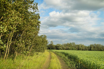 trail through farm land