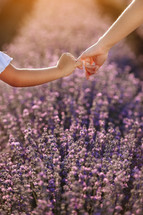 Happy family day. Mom holds her child daughter by hand in lavender field on summer day. Family outdoors in nature on sunset. Motherhood, childhood and care concept. Mothers day. Sun rays