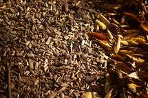 golden leaves in mulch 