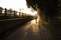 child riding a bike on a path 