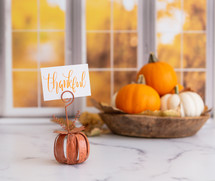 Orange and white pumpkins with a thankful sign in front of autumn window