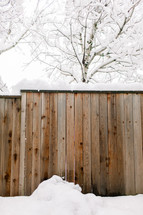 snow and fence 