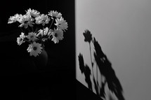 Black and White flowers with shadow on the wall