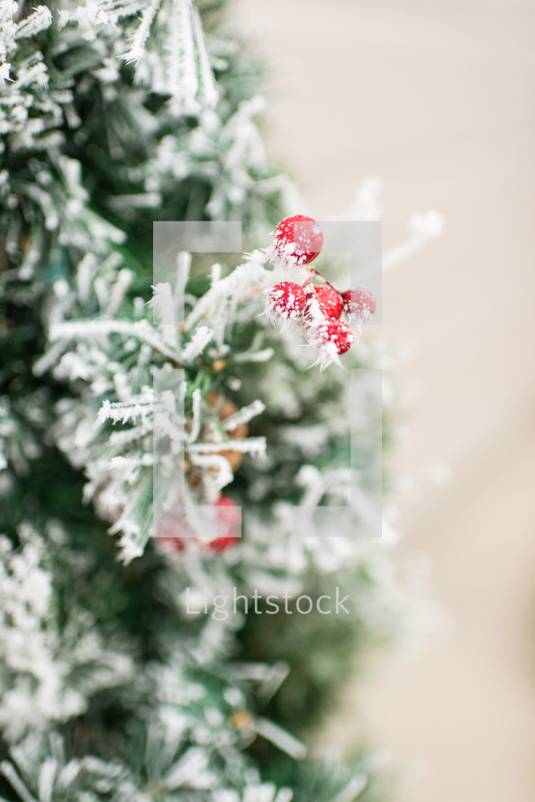 flocked Christmas tree branches 