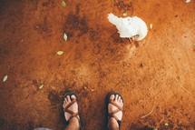 feet in sandals and a chicken 