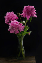 vase of pink flowers in studio 