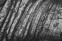 black and white abstract texture 