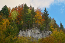 Fall trees on rockface