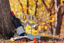 Wine and wine glasses resting against fall tree