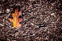 oak leaf and mulch 