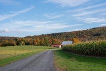 Gravel road to hillside at fall