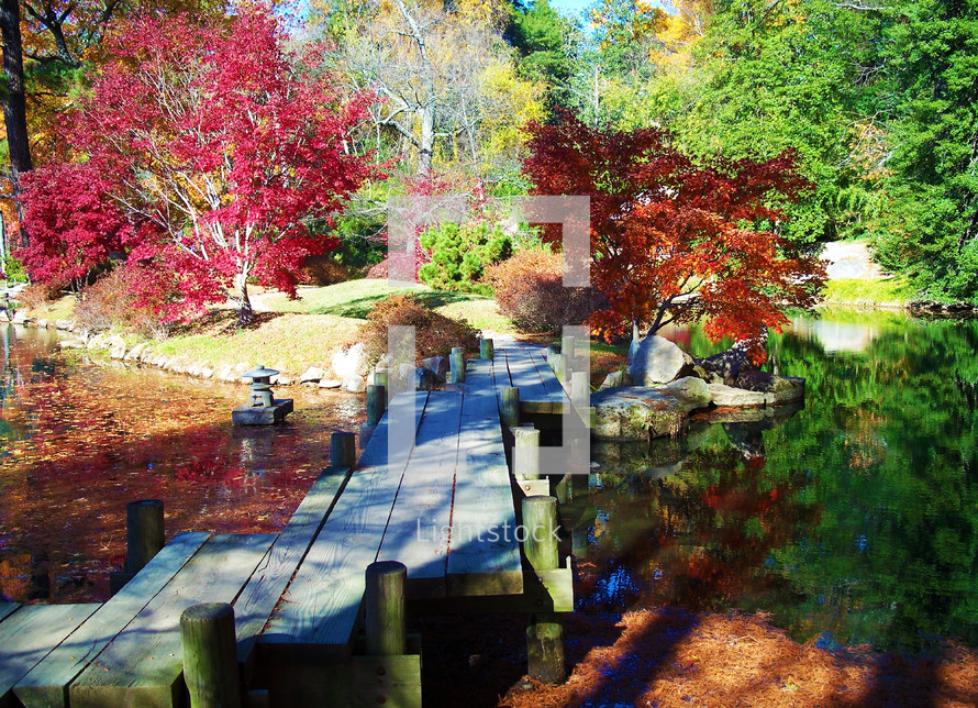 Bridge over a pond in fall in a Japanese Garden in Virginia showing the beautiful fall leaves reflecting in the water in a Japanese Garden in Virginia. 