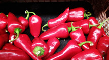 A group of red chilli peppers against a black background. Color draws the eye which is one of God's way of feeding animals and people by using color to draw the eye. Colors have significance to birds as the red color attracts them and draws them to a potential food source. Hot, spicy food to add to a barbecue, taco or salad to enjoy along with summertime meals. 