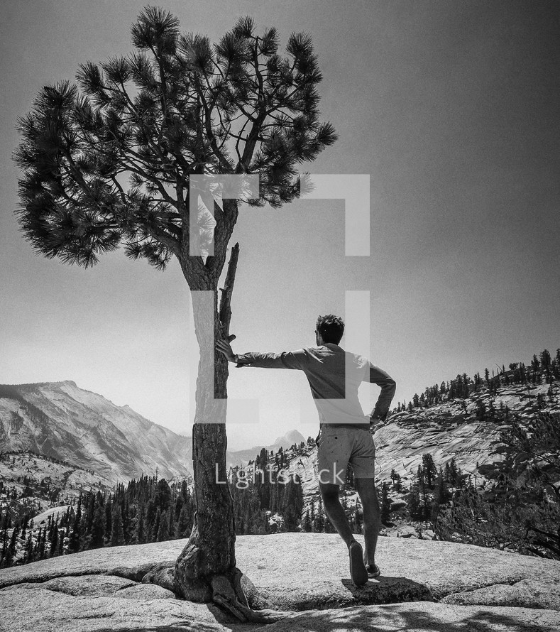 man leaning against a pine tree taking in the view 
