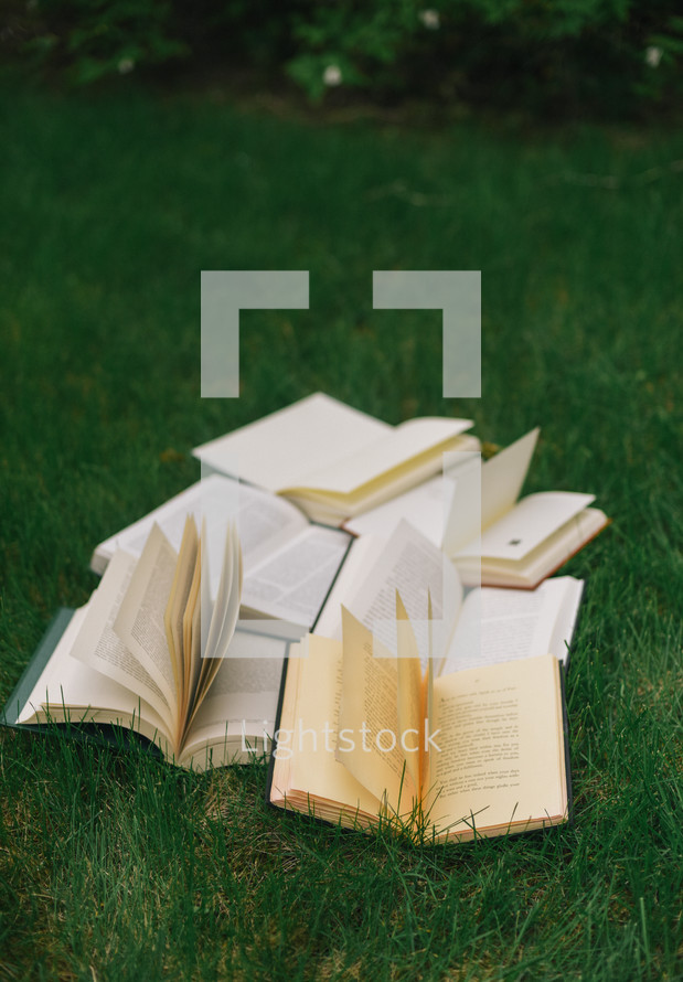 books scattered in a lawn
