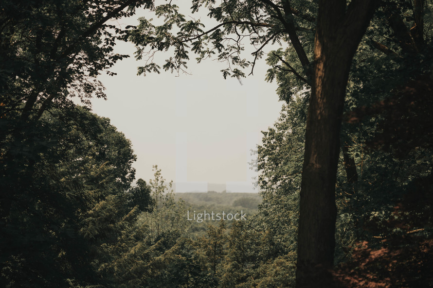 a long view of hills through green trees