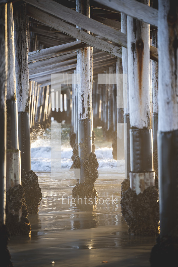 under  Newport Beach, California pier 