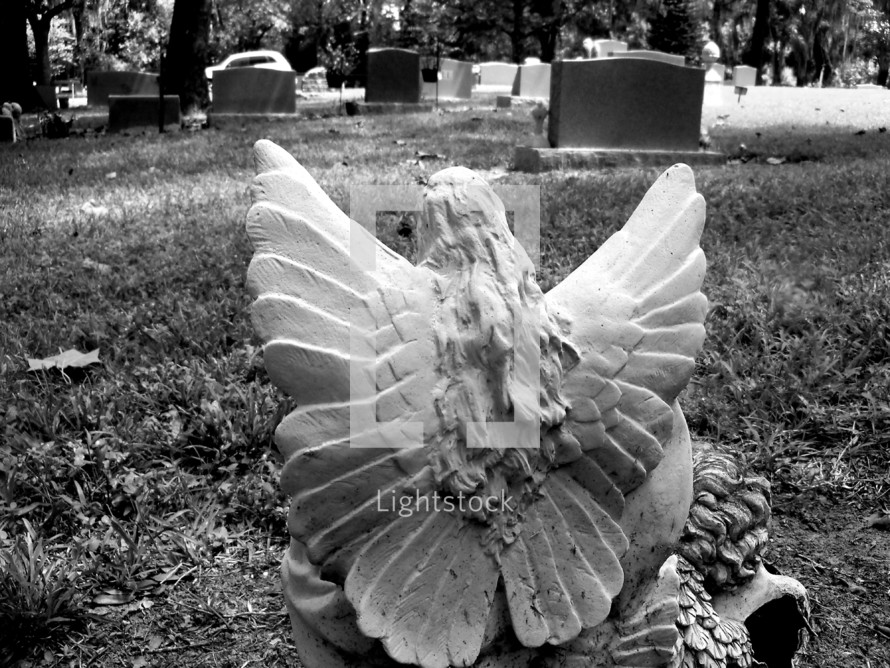 A Female Guardian Angel with wings spread out watching over a grave in a local cemetery captured in this black and white photograph. 

