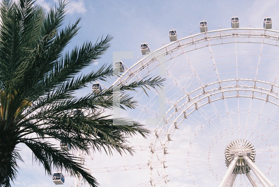 ferris wheel at an amusement park 